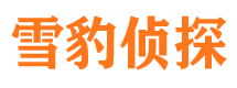 修武市调查公司